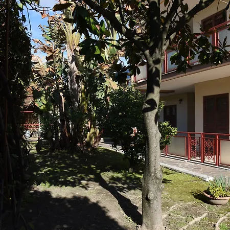 La Ginestra トッレ・デル・グレコ